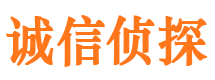 渭城侦探调查公司